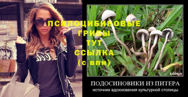 хмурый Алексин