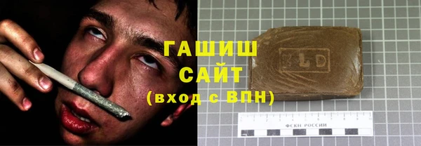 хмурый Алексин